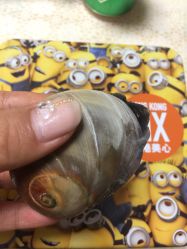 -AKIRA 安久日式美甲美睫