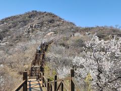 -大岭沟猕猴桃谷风景区
