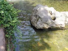 -黄龙溪古镇