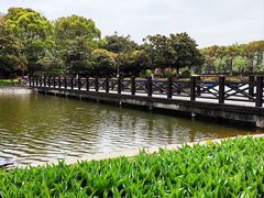 -上海鲜花港