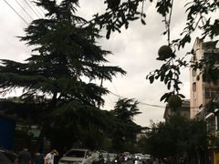 -老阿尔巴特大街