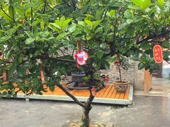 -树厨贵州菜(铜仁花果山店)