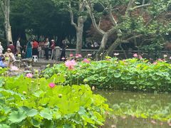 -思南书局(复兴中路店)