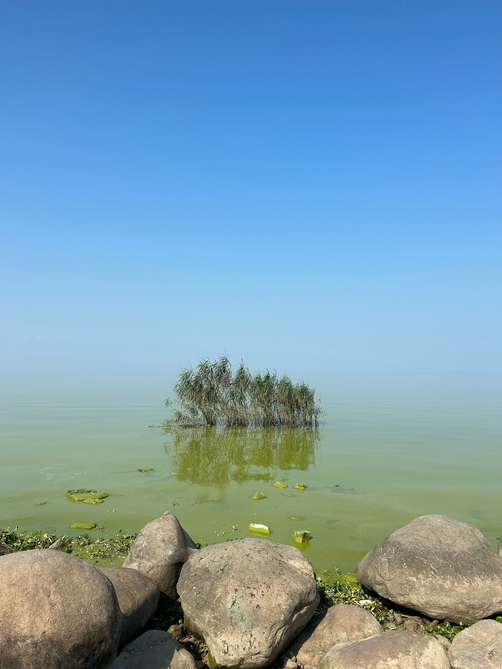 湖州长兴太湖观景台的风景