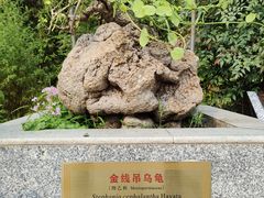 -广州神农草堂中医药博物馆