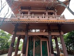 -大屏嶂森林公园