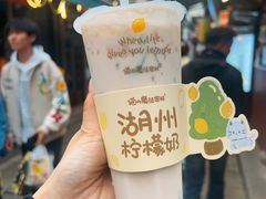 -猫的魔法密林(衣裳街店)
