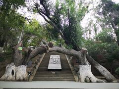 -水磨沟公园