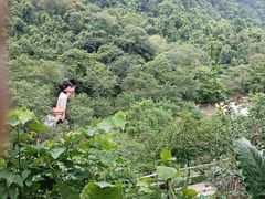 -广西龙虎山风景区