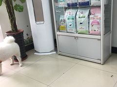 -康乐宝动物医院