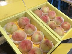 -南汇水蜜桃采摘(大团店)