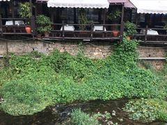 -Local泰莲庭(虹鳟鱼店)