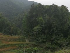 -湖南四明山国家森林公园