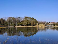 -长广溪湿地公园