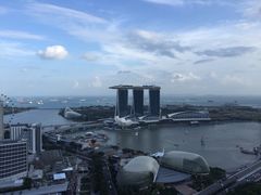 史丹福瑞士酒店-新加坡瑞士史丹福酒店