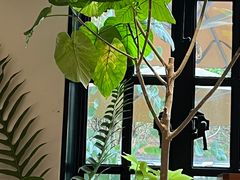 -一尺花园(安和花园店)