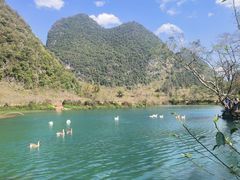 -靖西鹅泉风景区
