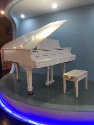 -比华利美容医院