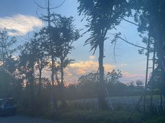 -白鹭湾湿地公园