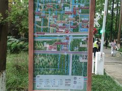 -黄海国家森林公园