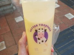 -一只酸奶牛(八一路店)