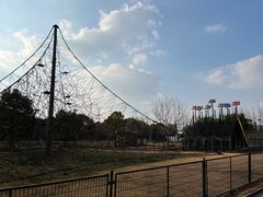 景点-东方绿舟景区