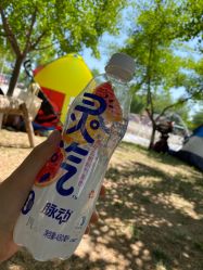 -上美四季动物农场