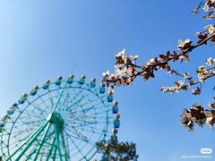 -南京银杏湖乐园