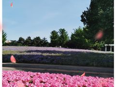 -朝阳公园