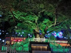-水围村