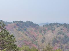 -木兰云雾山