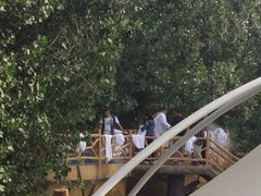 -林栖谷森林康养度假区