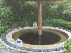 -大连金石滩绿发温泉假日酒店