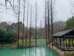 -兰亭风景区