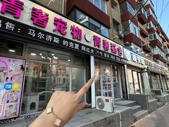 -青奢宠物·青奢猫舍