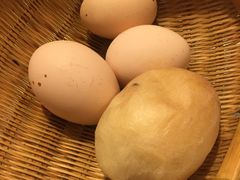 -食家鸽园
