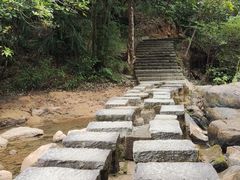 -广州白江湖森林公园