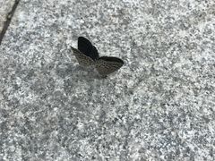 -意大利农场度假村