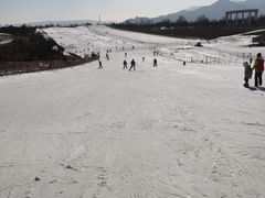 -华彬猛犸滑雪场