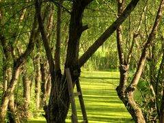 -同銮特种养殖场·龙虾垂钓