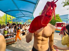 -海合安武汉极地海洋公园