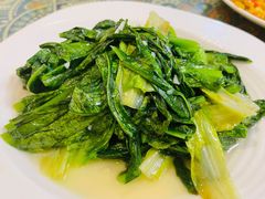 素炒油麦菜-新疆红柳花餐厅(新洲店)