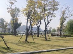 -金沙湖公园