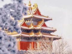 -故宫博物院(故宫)