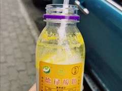 -德禄酸奶(莫家街店)