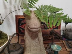 -道南書院·私房菜·早午茶·茶馆
