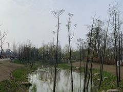 -上海长兴岛郊野公园