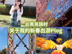 -云南民族村