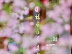 -堤角公园
