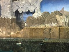 -成都浩海立方海洋公园